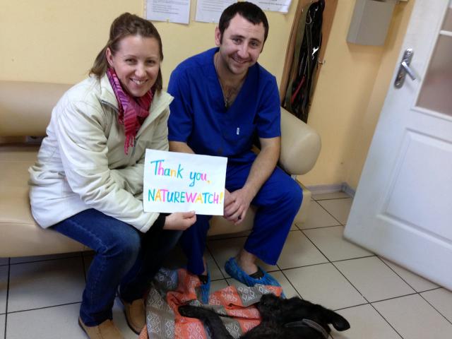 Притулок для тварин завершує співпрацю з британськими зоозахисниками