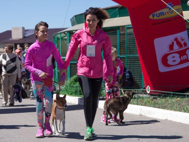 Самый масштабный в Украине пробег людей вместе с собаками