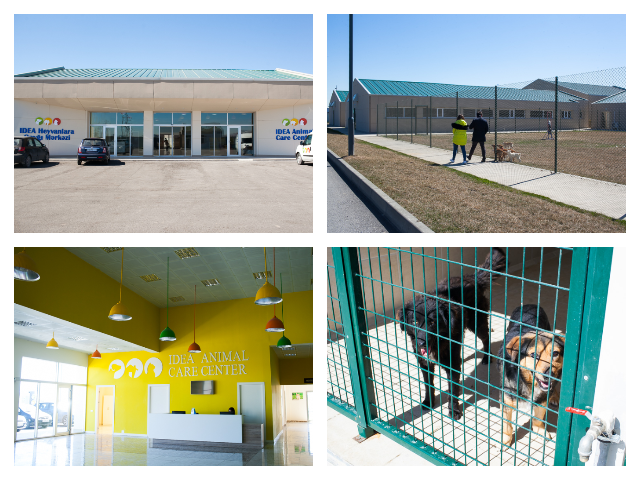 Центр по уходу за животными IDEA в Азербайджане