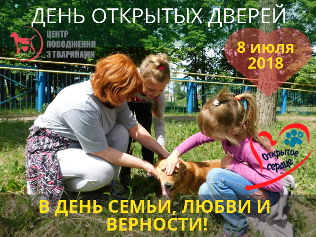 Приглашаем харьковчан провести День семьи в Центре содержания бездомных животных