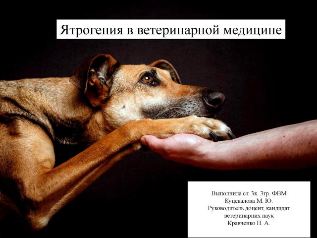 Ятрогения в ветеринарной медицине