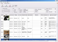 єдина електронна база непродуктивних тварин Харкова