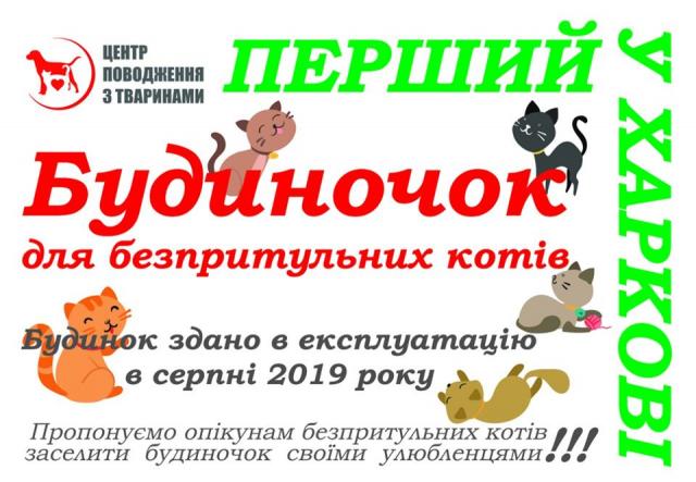 КП "Центр обращения с животными" установлен домик для кошек в pet-friendly дворе по улице Библика, 1А