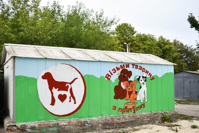 Граффити о животных нарисовали в pet-friendly дворе по ул. Библика, 1а