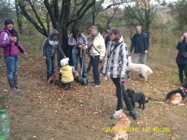 В поселке Жуковского прошел праздник "Happy Dog"