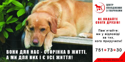 Харьковский приют для собак и кошек