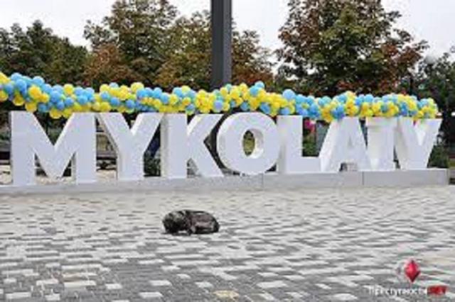 Дороги, мусор и бездомные животные: Жители Николаева назвали главные проблемы города