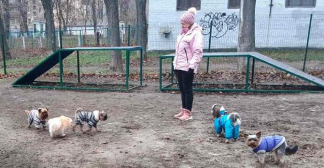 В Шевченковском районе открыли площадку для выгула собак