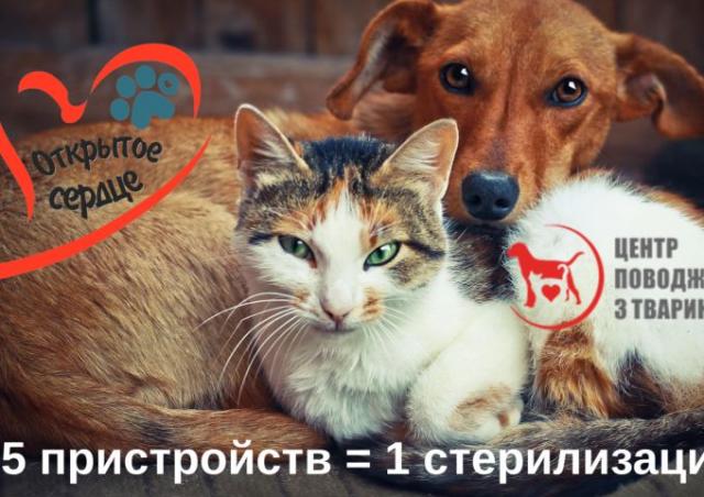 Акция "5 пристройств = 1 стерилизация"