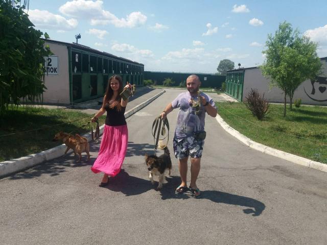 КП "Центр обращения с животными" благодарит за подарки питомцам Харьковского муниципального приюта для бездомных животных