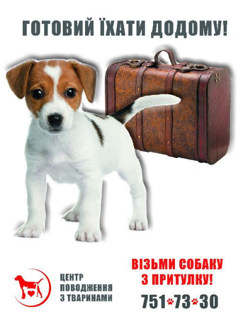 Харьковский приют для собак и кошек