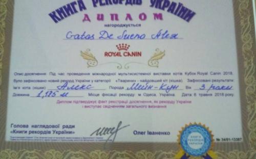 в книгу рекордов Украины внесли самого длинного кота