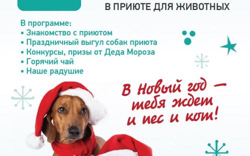 Центр обращение с животными приглашает всех на традиционные РОЖДЕСТВЕНСКИЕ ВСТРЕЧИ