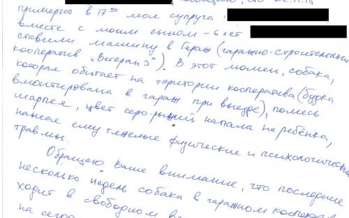Собака, обитающая на территории гаражного кооператива, покусала ребенка