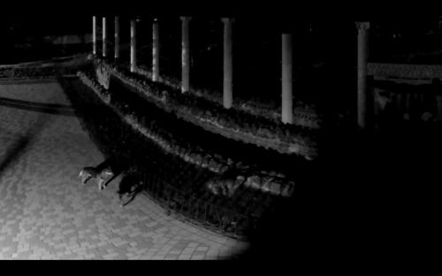 Cобаки проникли в зоопарк и загрызли животных