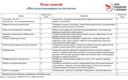 Приглашаем в Школу ветеринарных ассистентов