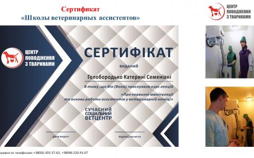 Приглашаем в Школу ветеринарных ассистентов
