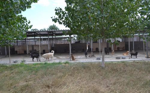 ОСВ в Болгарии: реальность бытия