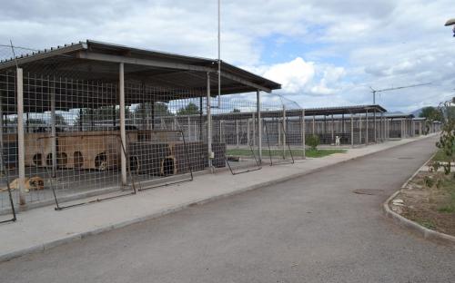 ОСВ в Болгарии: реальность бытия