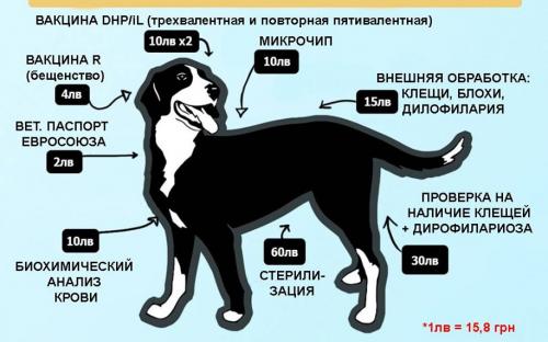 ОСВ в Болгарии: реальность бытия