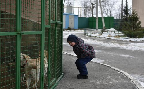 В Харьковском центре содержания бездомных животных состоялся праздничный День открытых дверей