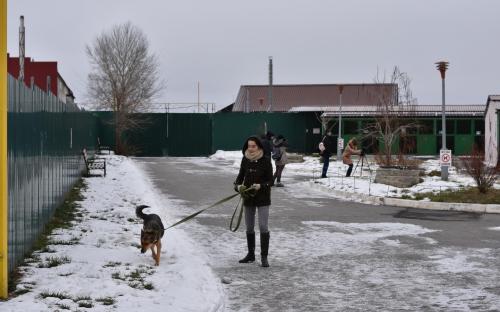 В Харьковском центре содержания бездомных животных состоялся праздничный День открытых дверей