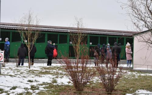 В Харьковском центре содержания бездомных животных состоялся праздничный День открытых дверей