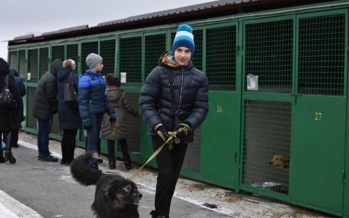 В Харьковском центре содержания бездомных животных состоялся праздничный День открытых дверей