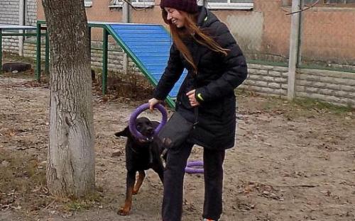 Провели День рождения в Центре обращения с животными.