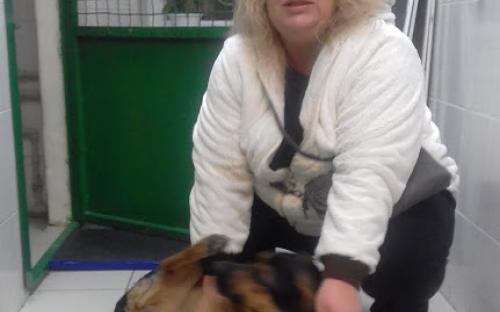 Счастливое возвращение Барона домой