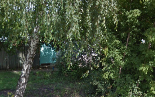 Обращение к зоозащитным организациям! Решением суда прекращена деятельность незаконного приюта для собак