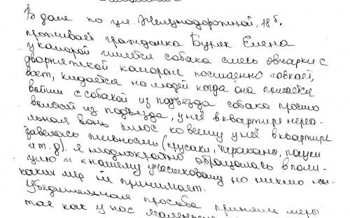 21 сентября 2018 г. исполнительная служба конфисковала собаку, покусавшую двух детей