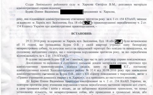 21 сентября 2018 г. исполнительная служба конфисковала собаку, покусавшую двух детей