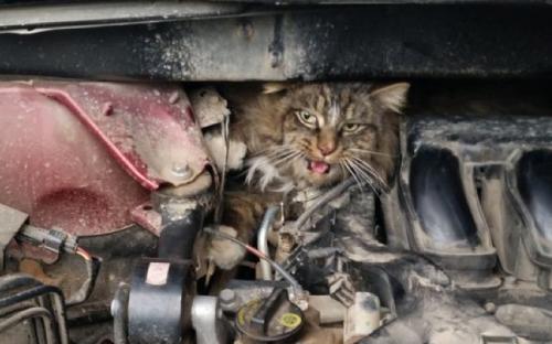 Уважаемые автомобилисты, будьте внимательны!