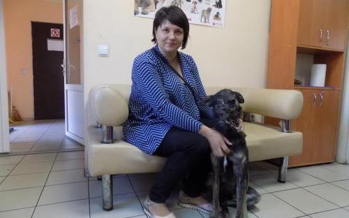 Статистика КП "Центр обращения с животными" количества пристроенных за летние месяцы животных