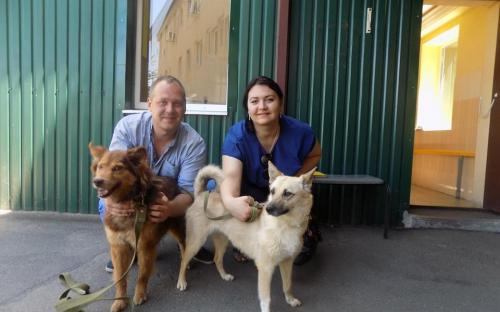 Статистика КП "Центр обращения с животными" количества пристроенных за летние месяцы животных