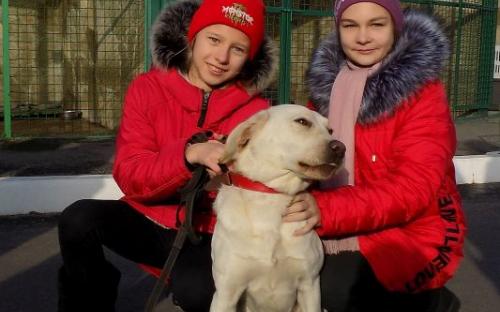 Ученики 135 харьковской школы побывали в гостях в Центре обращения с животными.