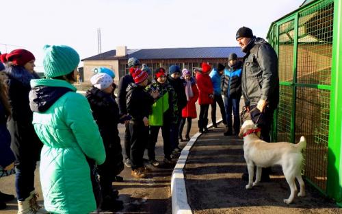 Ученики 135 харьковской школы побывали в гостях в Центре обращения с животными.
