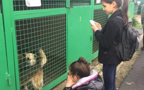 Ребята из 77 школы побывали на экскурсии в "Центре обращения с животными"