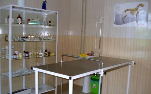 Круглосуточная ветеринарная клиника на Гагарина в Харькове