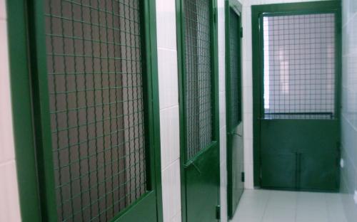 Круглосуточная ветеринарная клиника на Гагарина в Харькове