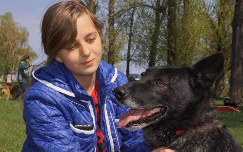 КП "Центр обращения с животными" посетило рекордное количество харьковчан