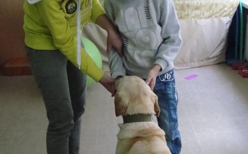 Была проведена канистерапия 17.05.2017 года