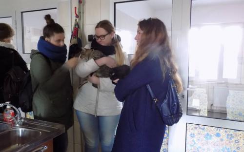 Выездное практическое занятие будущих ветеринаров