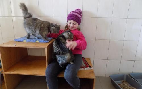 Знакомство с собаками, общение с кошками. Интересная и познавательная экскурсия