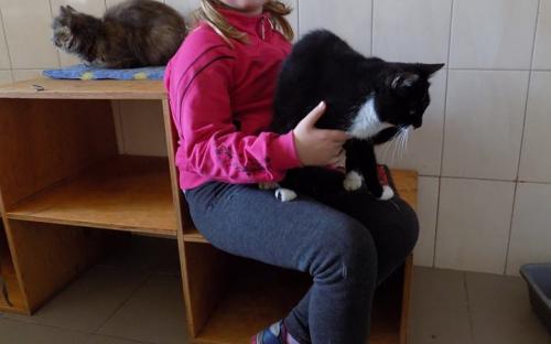 Знакомство с собаками, общение с кошками. Интересная и познавательная экскурсия