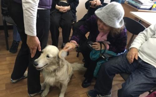 Канистерапия КП Центр обращения с животными Харьков