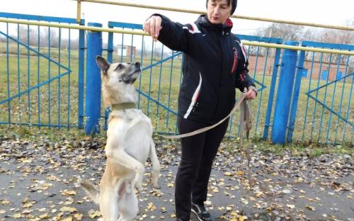 Ребята из Израильского Культурного Центра проведали питомцев Приюта