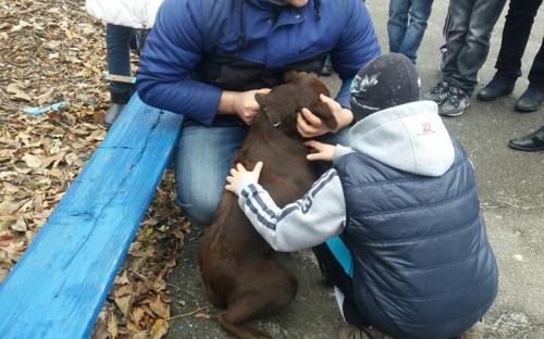 Проект «Канистерапия Харьков» побывал в Харьковской областной специальной гимназии-интернате для слепых детей им. В.Г. Короленко