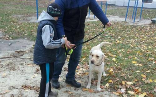 Проект «Канистерапия Харьков» побывал в Харьковской областной специальной гимназии-интернате для слепых детей им. В.Г. Короленко